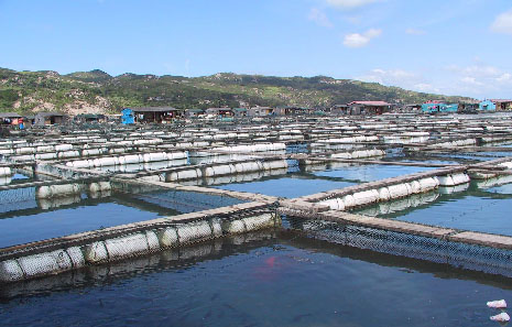 7. 海洋功能區環境狀況